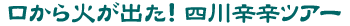 ������΂��o���I�l��h�h�c�A�[