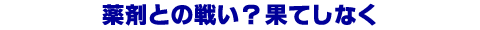 ��܂Ƃ̐킢�H�ʂĂ��Ȃ�
