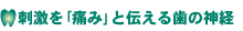 huɂ݁vƓ`鎕̐_o