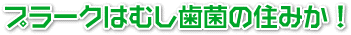 v[N͂ނۂ̏Z݂I